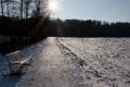 Zuerichberg Februar